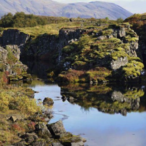 Learn about endemic plant and animals.