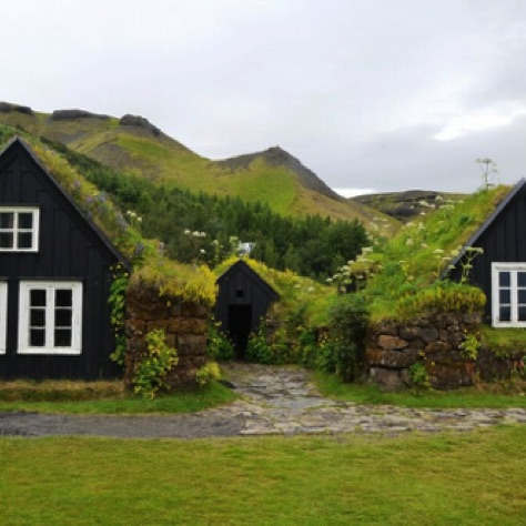 Be immersed in Viking culture.